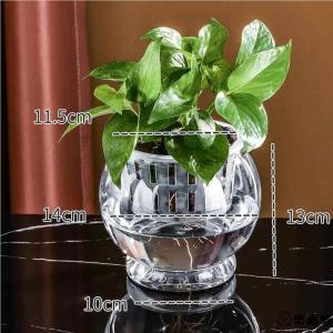 TEKANAI | Clear Cylindrical Hydroponic Vase