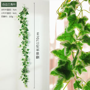 Zamioculcas Leaves Fake Flower Rattan Decorative Green Leaves Artificial Vine Balcony Air Conditioning Pipe Wall Ceiling Winding Covering