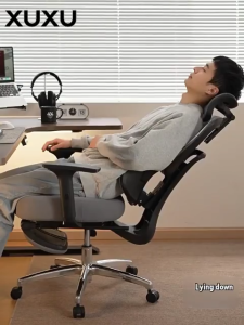 Serene Ergonomic Chair Adjustable Gaming Chair 6D Armrest Office Computer Chair Reclining Chair Heavy Duty