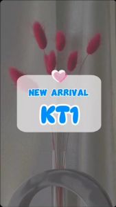 V2S KT1 Rechargeable KTV Mini Speaker with Microphone Changing Voice Sound and RGB LED Light