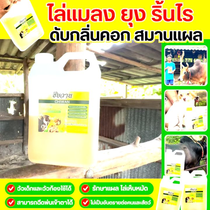 รีวิว จากผู้ใช้จริง น้ำยาไล่ยุง ไล่แมลง กำจัดเห็บ หมัด แมลงหวี่ ริ้น ไร ผลิตจากสารสกัดธรรมชาติ 100% ⭐️แถมฟรี⭐️หัวฉีดฟ็อกกี้ 1 ชิ้น Chaiwan ชัยวาน ป้องกันยุง ป้องกันแมลง ป้องกันเห็บหมัด