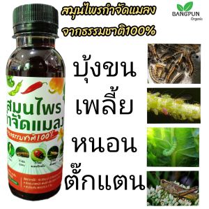 BPสมุนไพรกำจัดแมลง ขนาด150มล. (หมักจากธรรมชาติ100% ปลอดภัยต่อคนและสัตว์เลี้ยง) ยากำจัดแมลง น้ำหมักกำจัดแมลงและหนอน