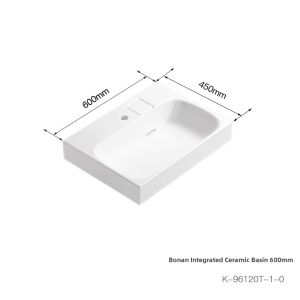 Kohler | Modern Minimalist Ceramic Sink