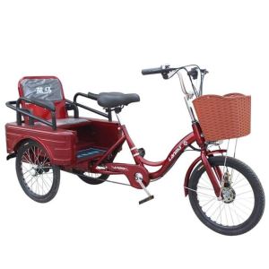XE ĐẠP ĐIỆN 3 BÁNH CHO NGƯỜI GIÀ