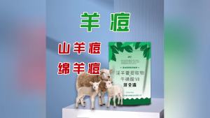 💗🙋‍♀️💗羊全清羊用羊口疮羊痘专用羊小反刍羊拉稀咳嗽羊瘟用羊口蹄疫感冒