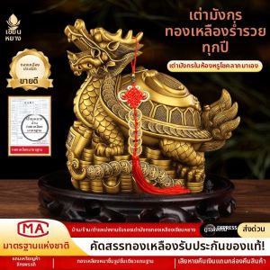 SHANYANG | Feng Shui Brass Turtle Dragon Statue