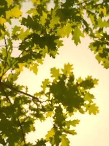 Telescopic Folding Small Fan USB Desktop Home Portable Electric Fan USB Rechargeable Bladeless Fan Outdoor Hanging Neck Mini Fan Handheld Fan Small Fan 2000mah