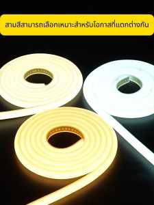 ซังสดใสสูงแถบไฟ LED 3M/ 5M/10M/20M240 LED/M สหภาพยุโรปเสียบ 220 โวลต์ซิลิโคนเคสกลางแจ้ง LED ไฟสวนสำหรับห้องนอนห้องครัวแสง