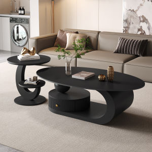 MINGZUO | Oval Rock Board Coffee Table Small Household Luxury Aesthetic