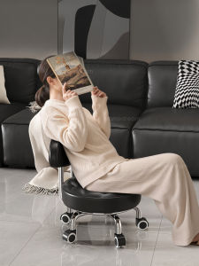 SAMEDREAM | Portable Home Chair with Wheels and Back Support