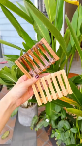 Khay Gỗ Đựng Xà Bông Cục Phòng Tắm Kệ Xà Phòng Sang Trọng Thân Thiện Môi Trường