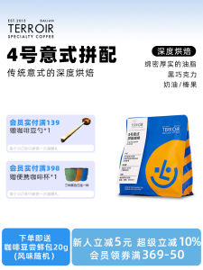 TCR4 Italian Blend Coffee Beans Premium Cold Brew Low Acid Intense Ice American Black Coffee Commercial Use 250g Bag