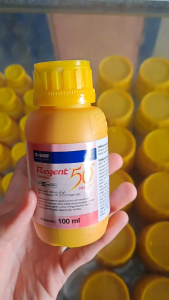 REGENT 50 SC INSEKTISIDA PENGENDALI HAMA