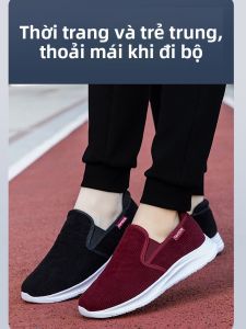 CHUNZULI | Comfortable Breathable Senior Womens Walking Shoes Spring/Summer