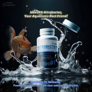 PA Nitrobacter Gen5 Biological Highly concentrated formula 80 capsule for fish aquarium freshwater only Fresh water tank boost filter PSB 硝化菌 光合菌 nitrifying system Effective remove ammonia Nitrite Smell decompose waste filter media beneficial bacteria