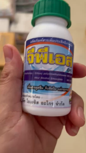 สารจับใบ จีพีเอส สารเสริมประสิทธิภาพ  ช่วยเพิ่มการแทรกซึม