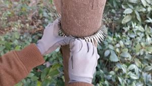 1Meter Stainless Steel Bird Spikes Rat Anti Climb Spikes for Deterring Bird and Rat