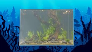 Men Vi Sinh Koika OBIO ( 30 - 180 - 300ml)- Vi Sinh Cao Cấp Dành Cho Cá Cảnh