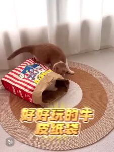 AP AIMAYAPET Popcorn Cat Bag Cat House Cat Toy Cat Playtime Rumah Kucing Berbentuk Beg Popcorn Mainan Kucing Masa Bermain