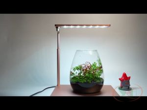 Đèn led kẹp LedStar AQ WRGB N series Nano II để bàn desktop trang trí thủy sinh cá tép cảnh