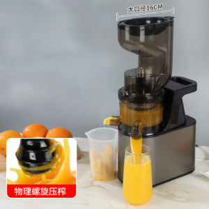 Automatic Stainless Steel Juice Extractor with Juice Separation for Home Use