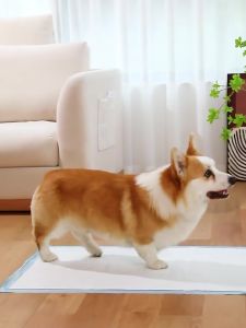 Tả lót vệ sinh huấn luyện Chó mèo Miếng lót cho chó mèo đi vệ sinh Tã Lót Vệ Sinh Cho Chó Mèo