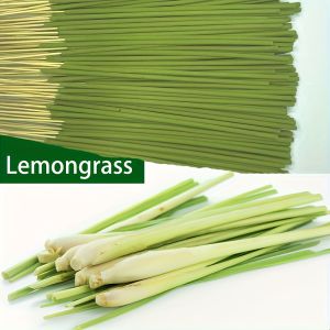 20/50/150 Extended Burning Time Lemongrass Oil Lemongrass Sticks - 45 Minutes Burning Artificial Wooden Summer Fragrance Home Camping Courtyard and Outdoor Activities - Air Purification Relaxation Holiday Decoration (Halloween/Christmas/Easter/Tall...
