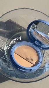 SACE LADY Waterproof Compact Powder+Long Lasting Concealer+Natural Pigmented Blush Cream Multi Face Makeup Kit