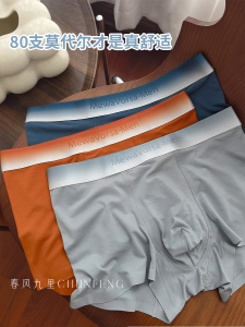 Antibacterial Modal Silk Mens Underwear Breathable Seamless Comfortable mid Waist Boxer Shorts Antibacterial Function