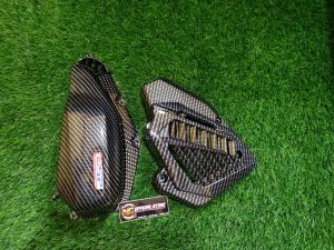 (2PCS) VARIO ESP RADIATOR DAN FILTER CARBON
