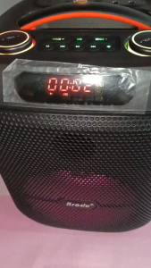 Brodu BTS-2501 6.5inches Professional Karaoke Wireless Bluetooth Speaker