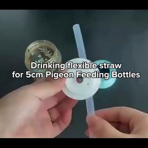 Drinking Straw for 5cm Pigeon Feeding Bottles Accessories Silicone Nipple Change Sippy Cup with Cover