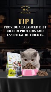 Rich Choice Holistic Cheek Booster Chicken & Salmon British Shorthair Cat Food 1KG [REPACK]