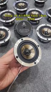 Loa Trung10 Arouse AT-10MB Công Suất 120W Trợ Lời Cho Mọi Dàn Âm Thanh