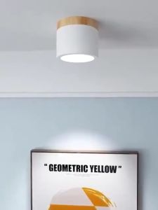 LED Macaron Downlight: Nordic Simple Ceiling Light for Balcony, Aisle, Bedroom & Living Room Decorative Lighting