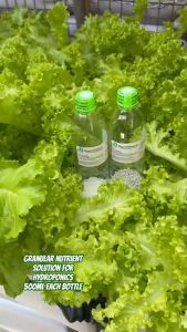 HYDROPONICS GRANULAR NUTRIENT SOLUTION - HIGH QUALITY/PROVEN GROWTH/EASY TO USE/WITH MANUAL/INSTRUCTIONS