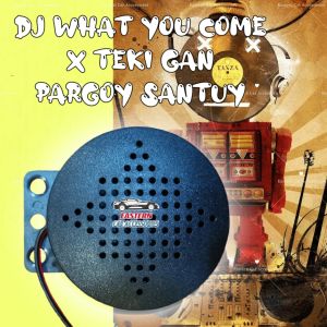 DJ WHAT YOU COME Car Reverse Sound Parking Speaker 12-24V Reverse Warning Alarm Audio JDM Music