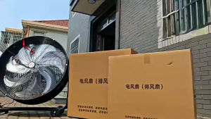 Energy Saving Home Cooling Fan Large Floor Fan with Wheels Strong Wind Portable Adjustable Angle Fan