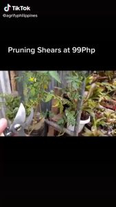 Garden Pruner Tree Cutter Gardening Pruning Shear Scissor Flower Plant Cutting Tools Set Home Tools