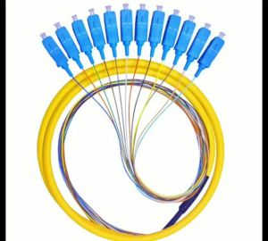 1.2 Meter 12 Strand 9/125 Fiber Optic Pigtail SC/UPC Fiber Optic Jumper Cable Single Mode Extension