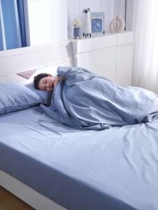 RAINBOW | Double Control Mite Removal Temperature Adjustable Electric Blanket