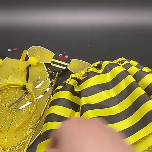 4pcs/6pcs Costume Bee Kid Set Ladybird Bee Wing Striped Layered Tutu Skirt Kids Bee Wings Skirt Tutu Sayap Kumbang
