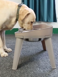 Elevated Dog Food Bowl Stainless Cat Bowl Dog Bowl with Stand Food Bowl for Dog Cat Pet Bowl