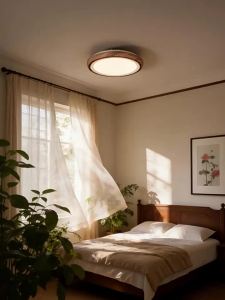 QINGYAO | Color Adjustable Ceiling Light