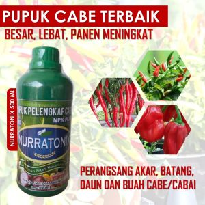 PUPUK CABE TERBAIK – Obat Semprot Cabe Lebat Tanpa Rontok Obat NPK Cair Bio NPK NURRATONIX Melebatkan Buah Cabe Bunga Cabe Daun Cabe Tanpa Rontok dan Layu Keriting Kuning - pupuk tanaman
