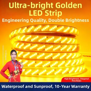 PAIMIJI | Super Bright Waterproof LED Strip Light 220V