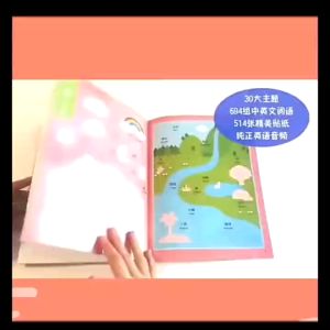 【SG STOCK】6 Copies Chinese and English sticker activity learning books for toddler preschooler children双语认知贴纸书 狮城奶爸推荐