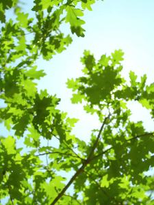 Summer sun protection mask for women detachable brim for cycling breathable face Gini original yarn ice silk mask