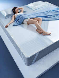 ZHIFAN | Summer Cool Ice Silk Mat A Class Bed Skirt Foldable