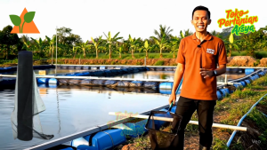 Eceran Jaring Waring Keramba / Tambak Ikan Lebar 120 cm